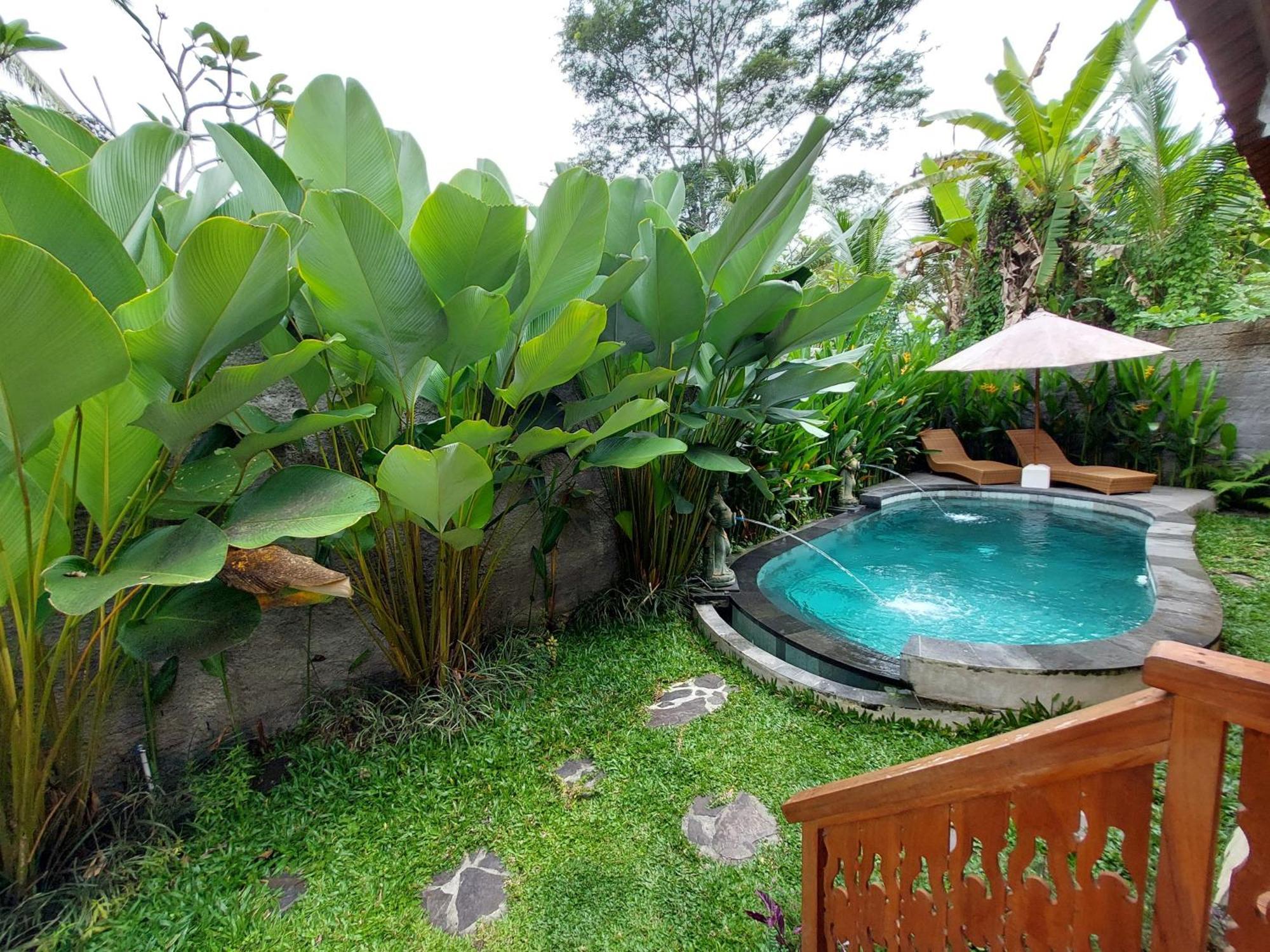 D'Ethnic Ubud Villa Ubud (Bali) Ngoại thất bức ảnh