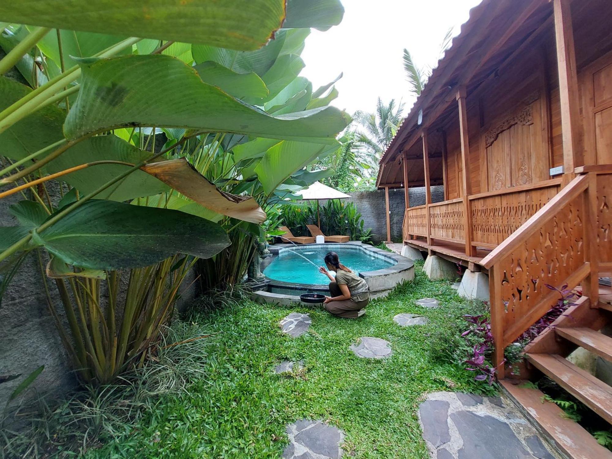 D'Ethnic Ubud Villa Ubud (Bali) Ngoại thất bức ảnh